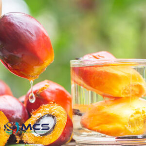 High Quality Palm oil