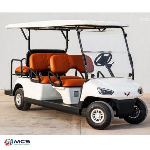 6 Seats Golf Cart