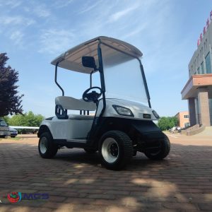 New Designed Golf Cart